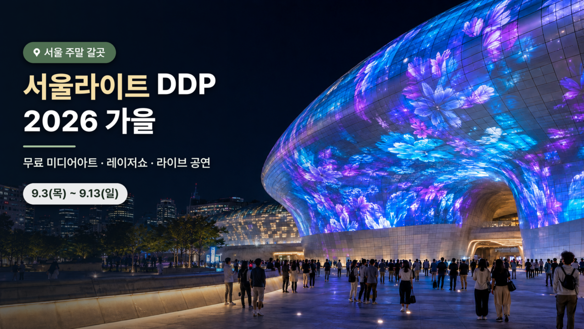 서울라이트 DDP 2026 가을 운영 기록 대표 이미지