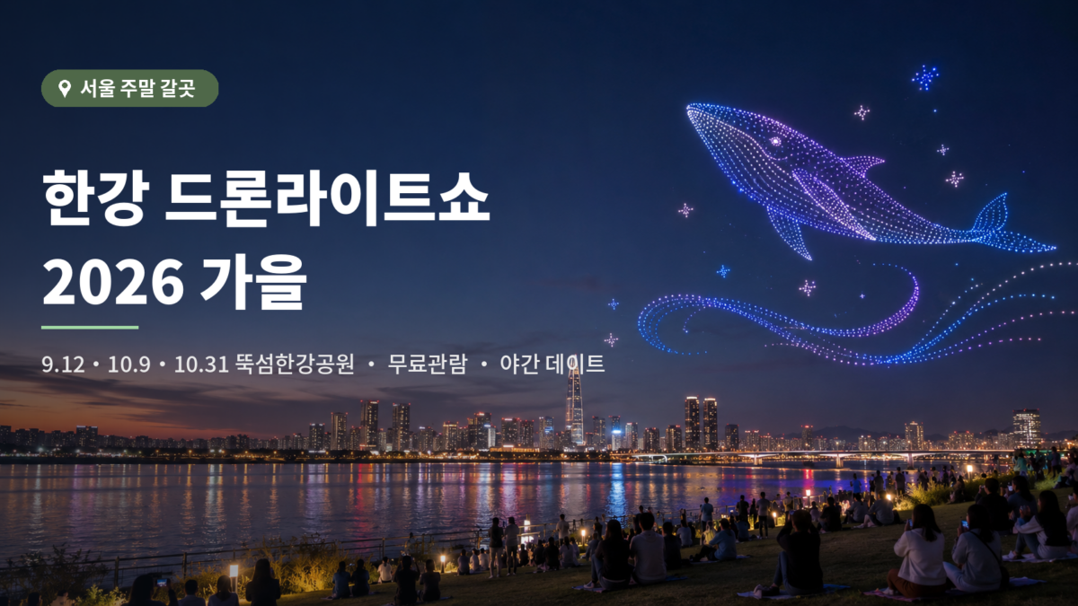 2026 한강 드론라이트쇼 뚝섬 대표 이미지