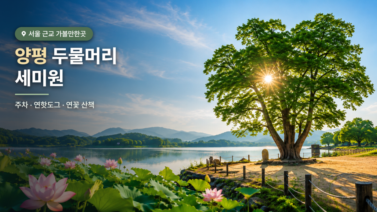 양평 두물머리와 세미원 반나절 코스 대표 이미지