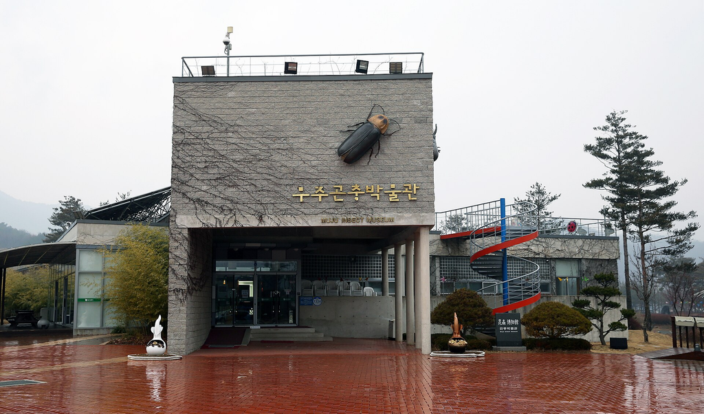무주 반딧불축제 신비탐사 예약과 관람 준비 안내