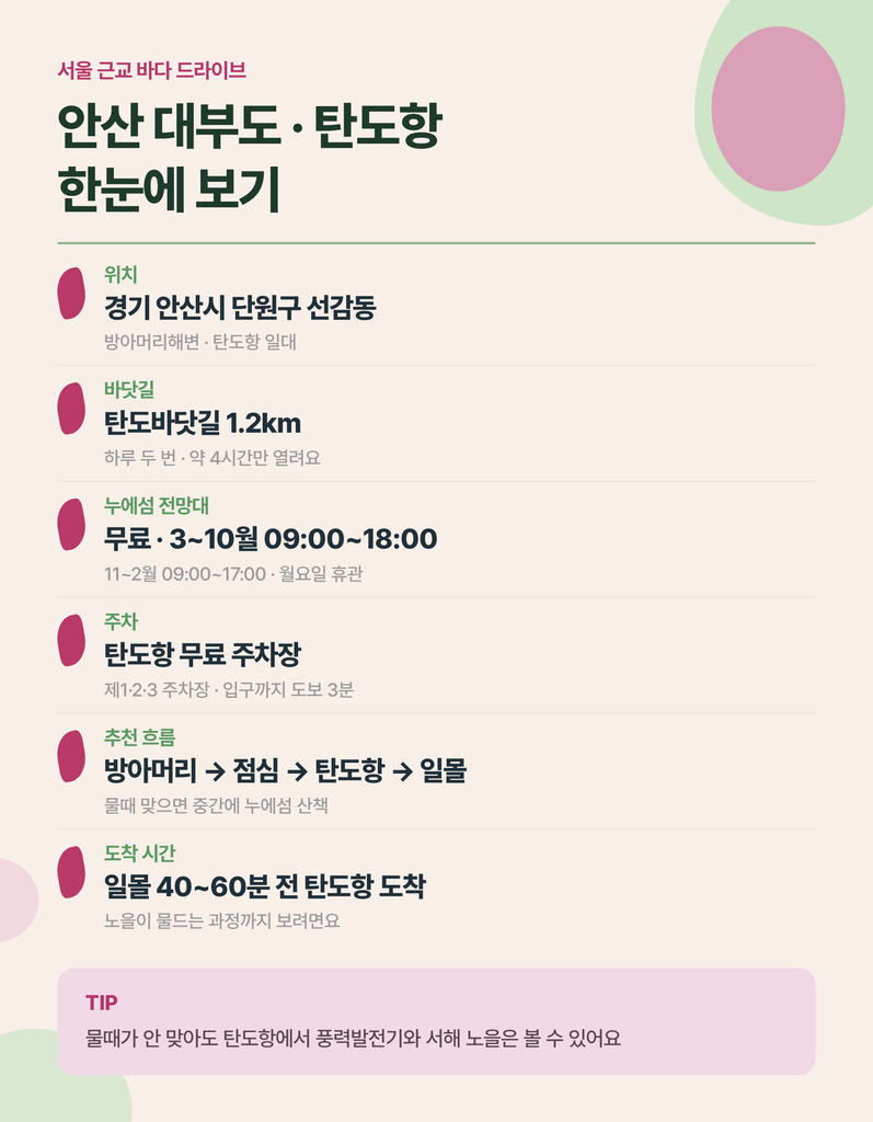 대부도 탄도항과 누에섬 물때·일몰 동선 안내
