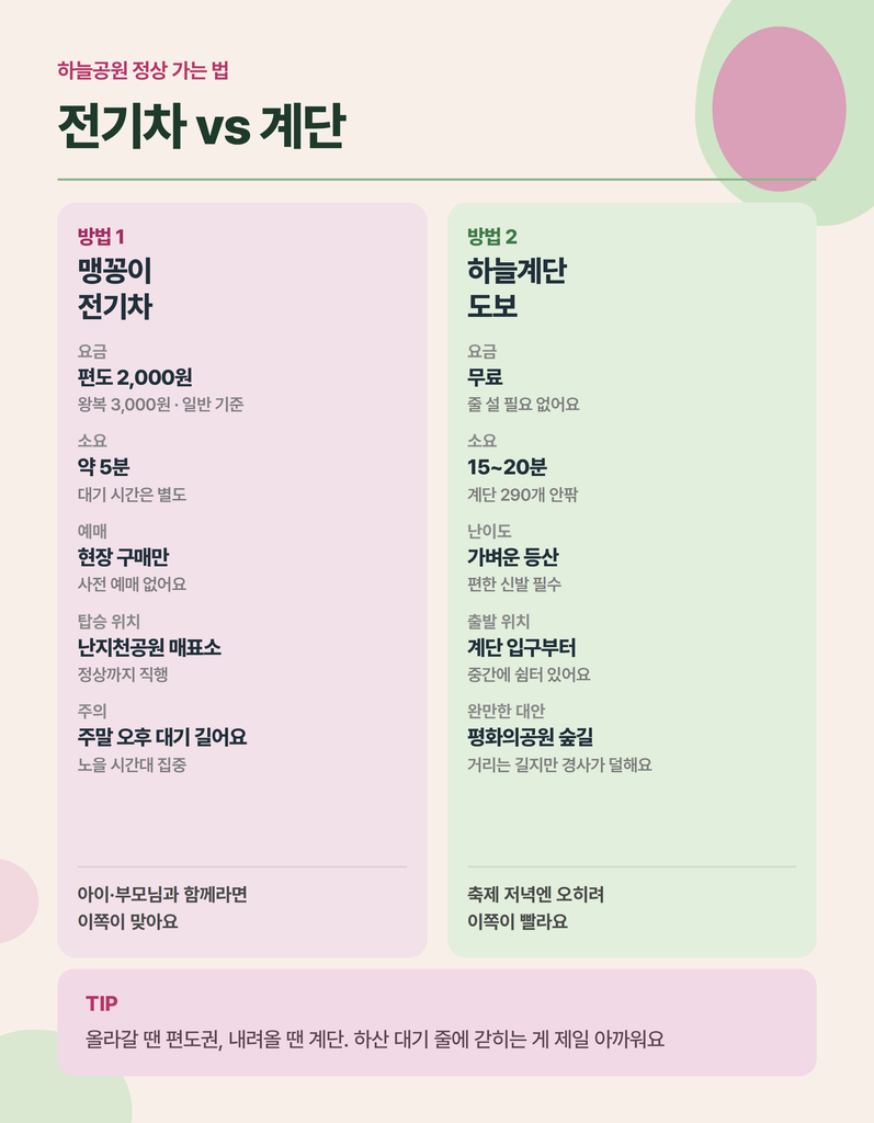 서울억새축제와 하늘공원 관람 정보 안내