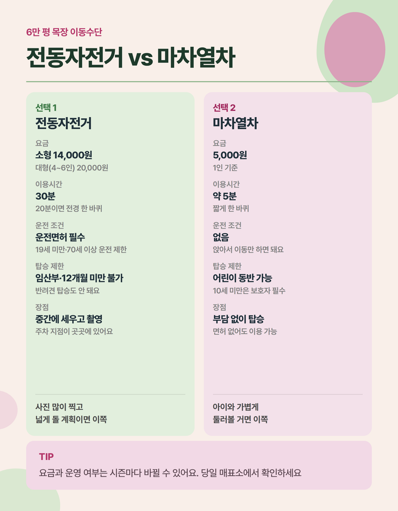 안성팜랜드 가을꽃 개화와 이동 정보 안내