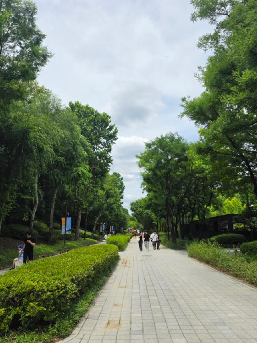 서울숲의 나무가 우거진 산책로
